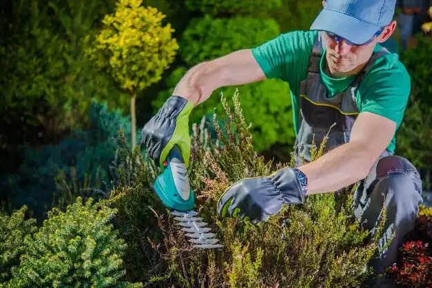 landscaping services Cameron